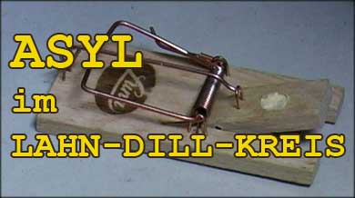 asyl
