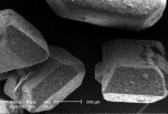 Zuckerkristalle in vielfacher Auflösung