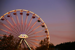 Riesenrad Gallusmarkt Riesenrad Gallusmarkt